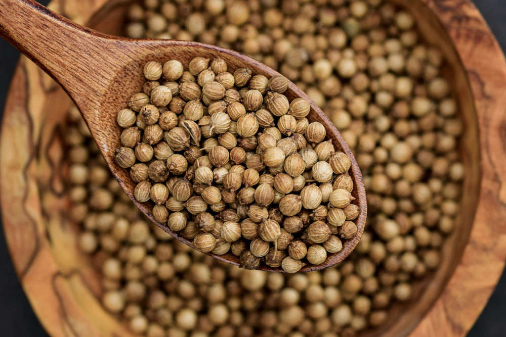 green coriander leaves